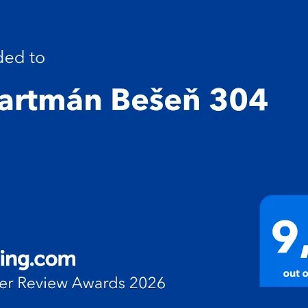 Besen 304 *